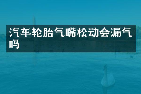 汽车轮胎气嘴松动会漏气吗
