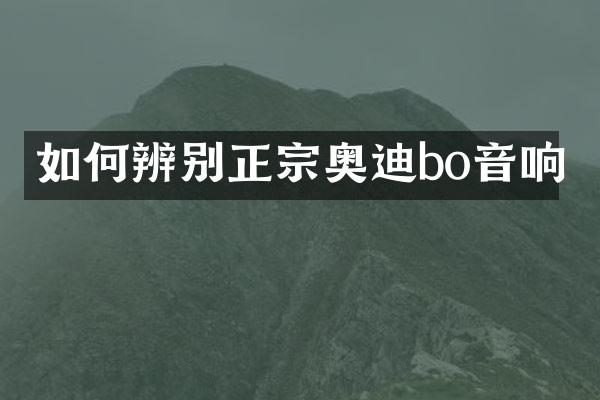如何辨别正宗奥迪bo音响