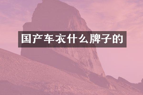国产车衣什么牌子的