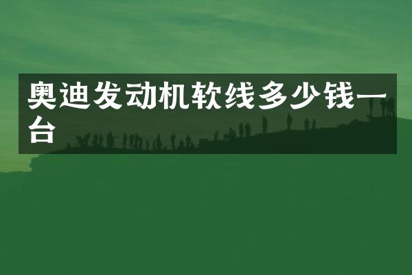 奥迪发动机软线多少钱一台