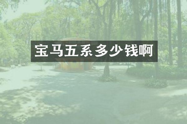 宝马五系多少钱啊