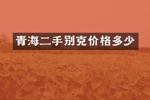 青海二手别克价格多少