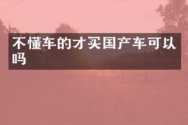 不懂车的才买国产车可以吗