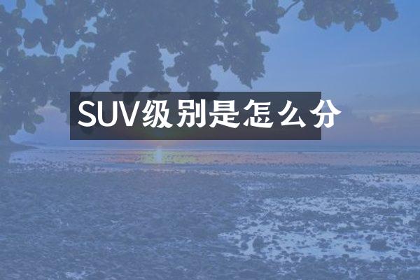 SUV级别是怎么分