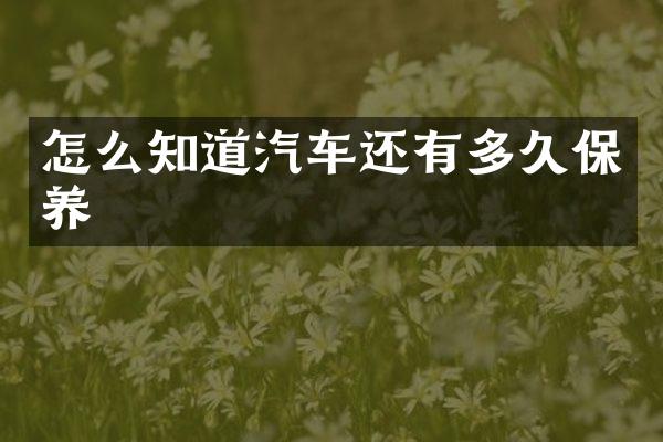怎么知道汽车还有多久保养