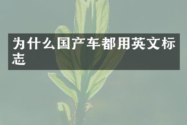 为什么国产车都用英文标志