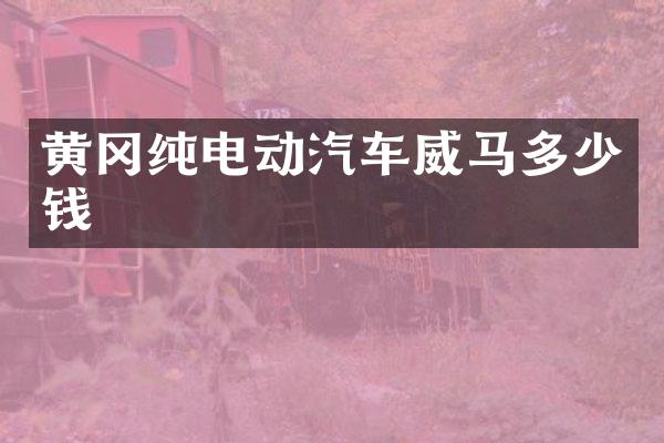 黄冈纯电动汽车威马多少钱