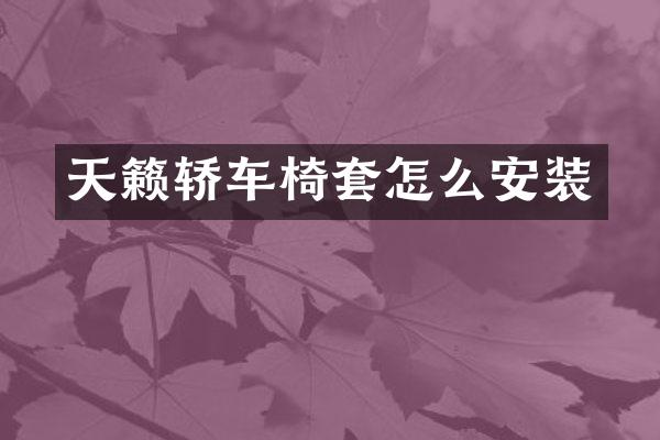 天籁轿车椅套怎么安装