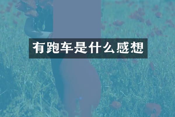 有跑车是什么感想