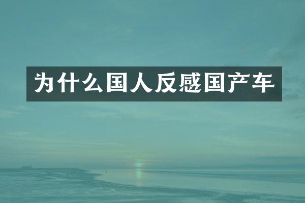 为什么国人反感国产车