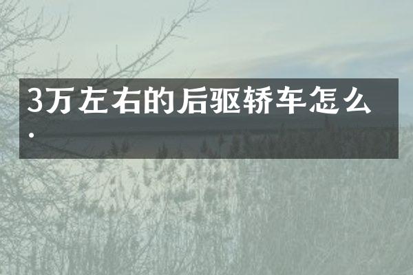 3万左右的后驱轿车怎么样