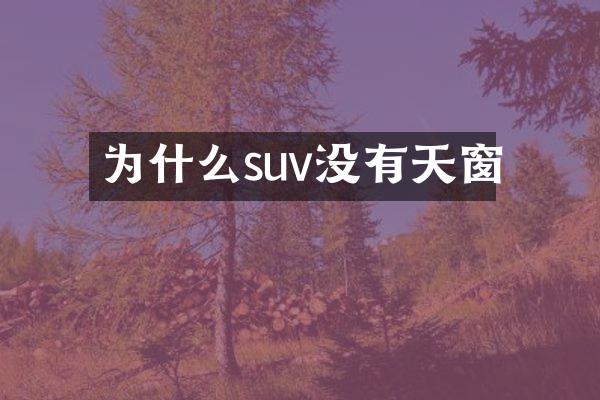 为什么suv没有天窗