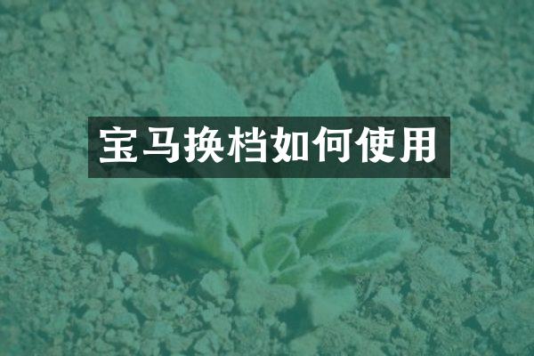 宝马换档如何使用