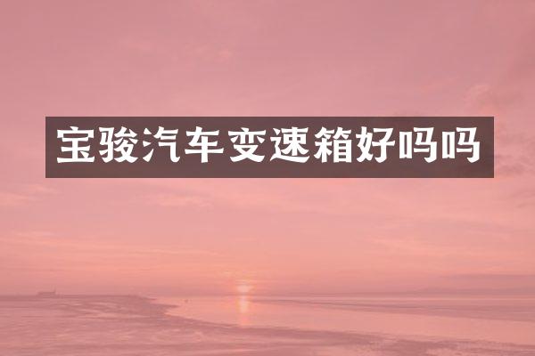宝骏汽车变速箱好吗吗