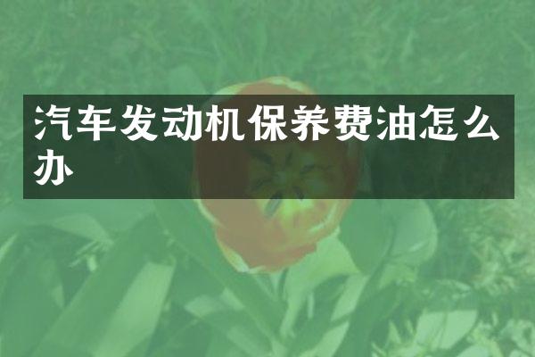 汽车发动机保养费油怎么办