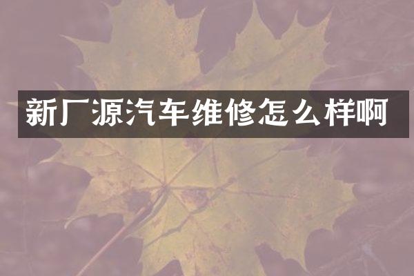 新厂源汽车维修怎么样啊