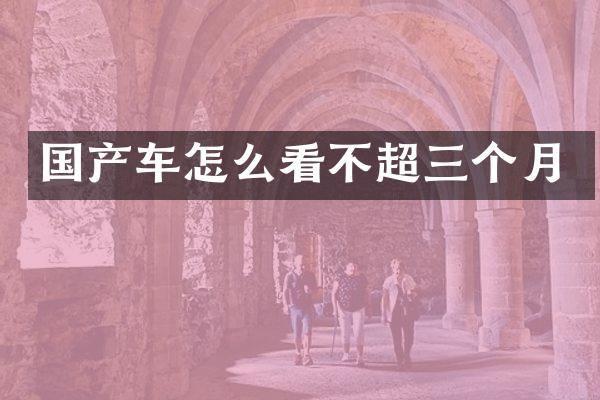 国产车怎么看不超三个月