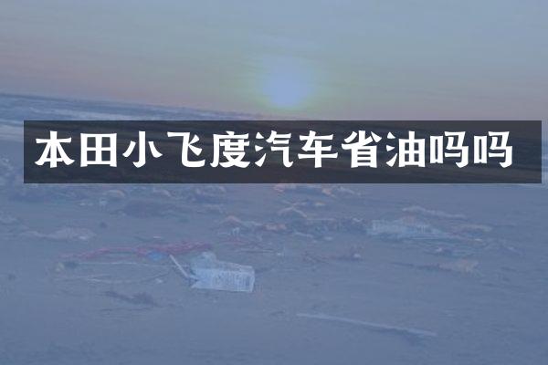 本田小飞度汽车省油吗吗