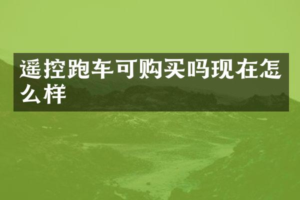 遥控跑车可购买吗现在怎么样