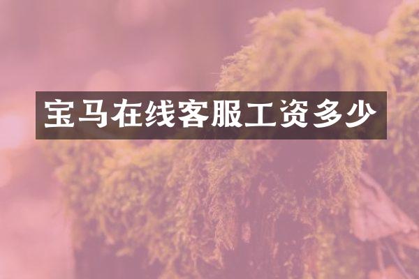 宝马在线客服工资多少