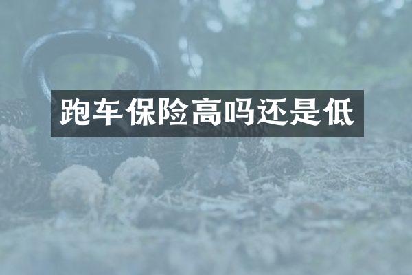 跑车保险高吗还是低