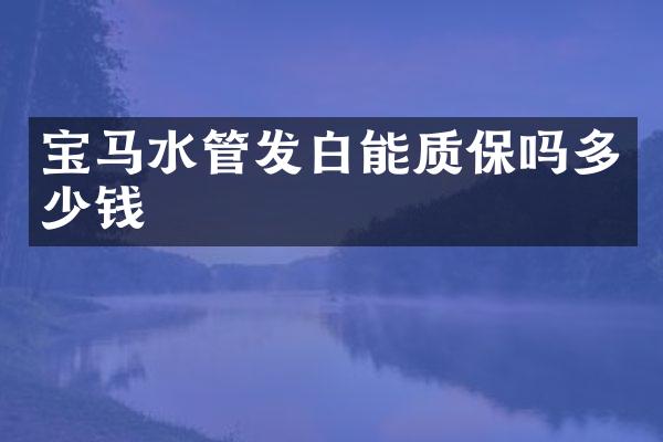 宝马水管发白能质保吗多少钱