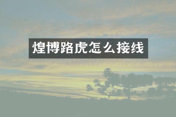 煌博路虎怎么接线
