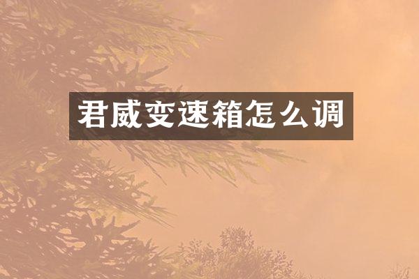 君威变速箱怎么调