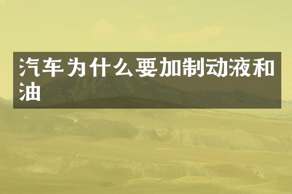 汽车为什么要加制动液和油