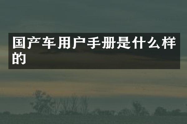 国产车用户手册是什么样的