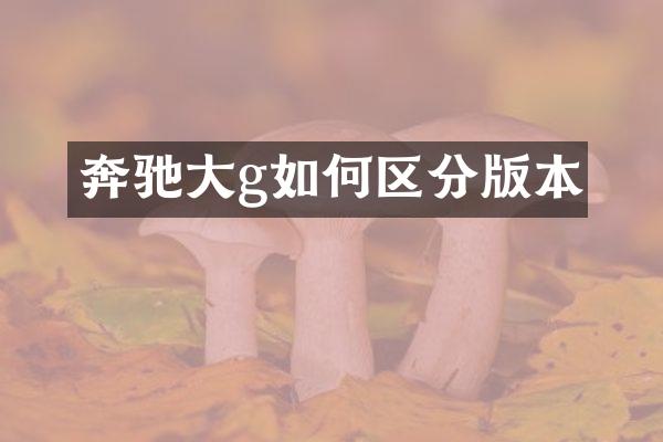 奔驰大g如何区分版本