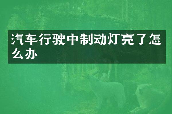 汽车行驶中制动灯亮了怎么办