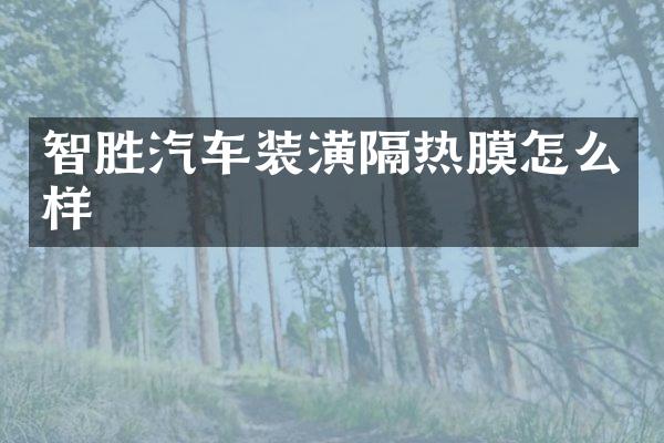 智胜汽车装潢隔热膜怎么样