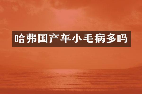 哈弗国产车小毛病多吗