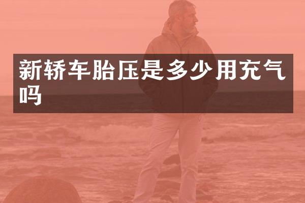 新轿车胎压是多少用充气吗
