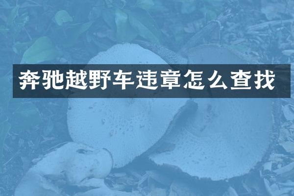 奔驰越野车违章怎么查找