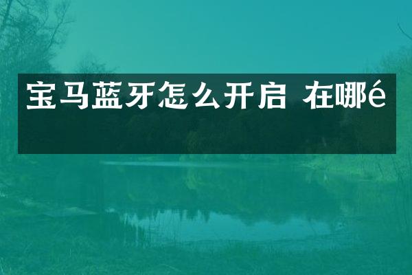 宝马蓝牙怎么开启 在哪里