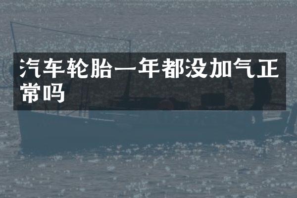 汽车轮胎一年都没加气正常吗