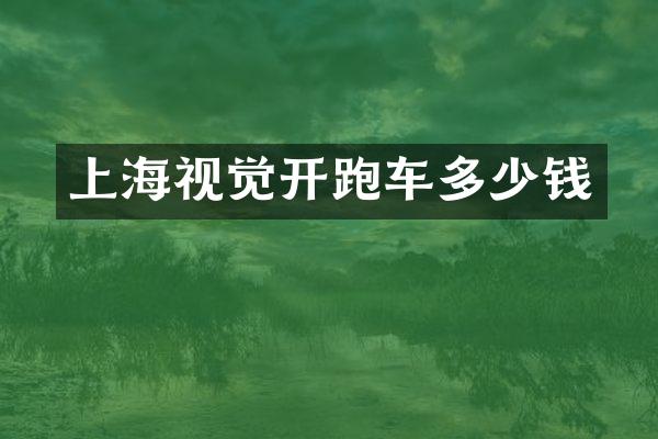 上海视觉开跑车多少钱