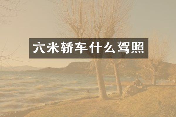 六米轿车什么驾照