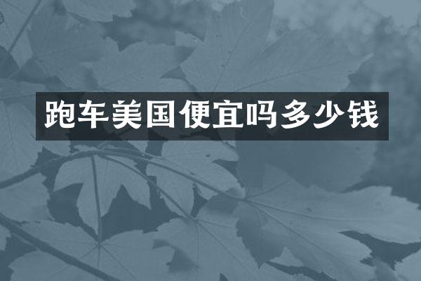跑车美国便宜吗多少钱