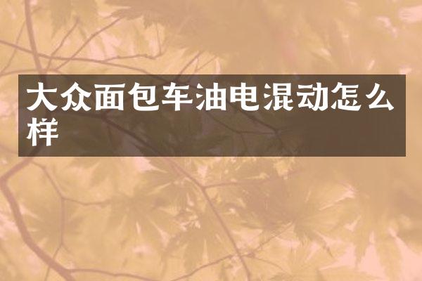 大众面包车油电混动怎么样