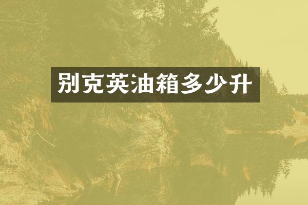别克英油箱多少升