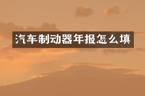 汽车制动器年报怎么填