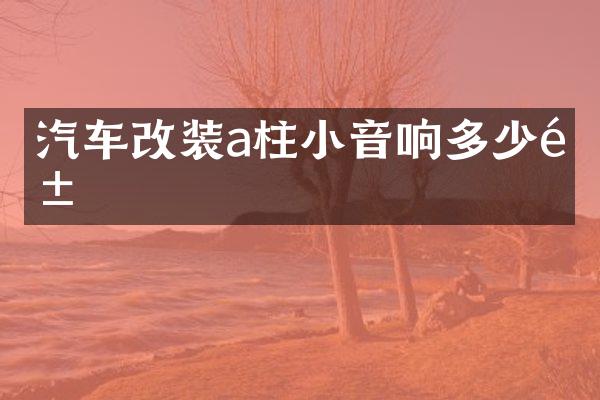 汽车改装a柱小音响多少钱
