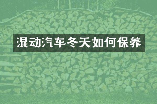 混动汽车冬天如何保养