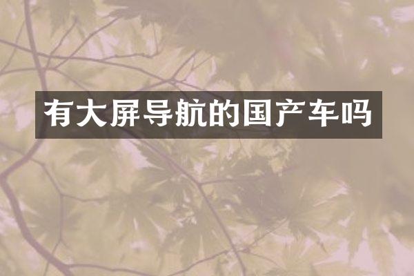 有大屏导航的国产车吗