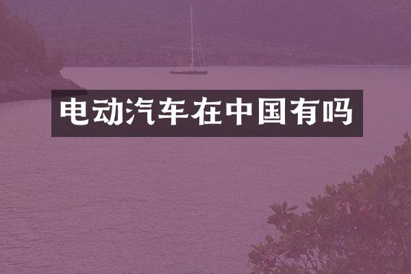 电动汽车在中国有吗