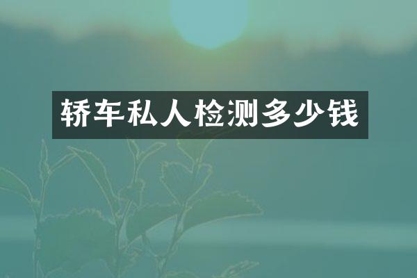 轿车私人检测多少钱