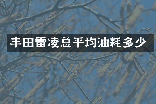 丰田雷凌总平均油耗多少